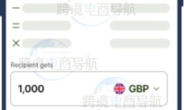 Wise账户如何通过银行转账进行付款？