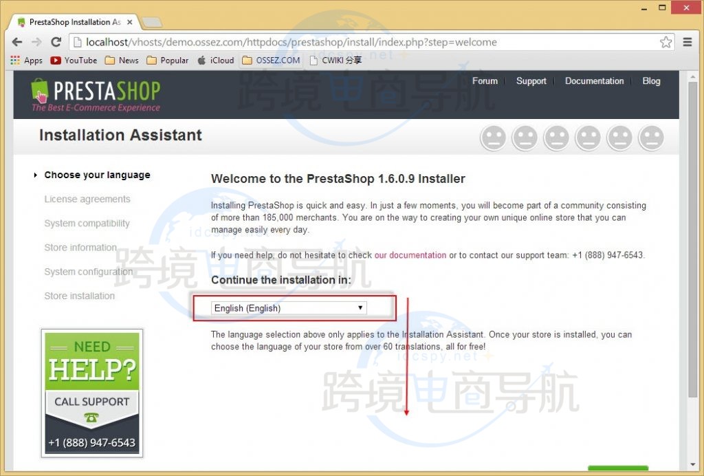 通过浏览器进行安装