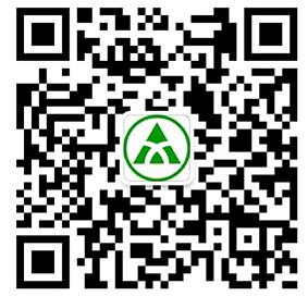 安信SSL证书十一活动