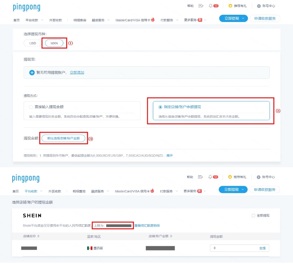PingPong查询结汇额度
