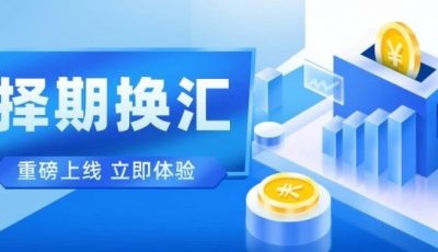 PingPong正式上线择期换汇