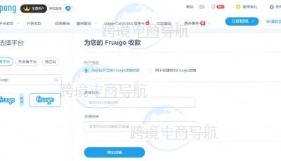 Fruugo店铺收款