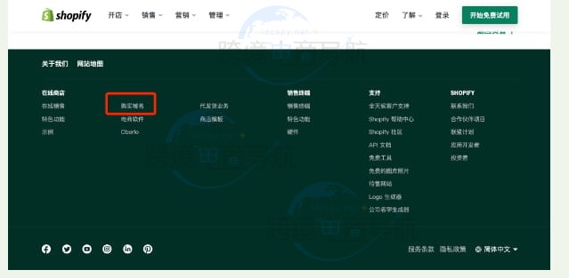 Shopify域名