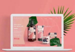 Shopify图片优化技巧