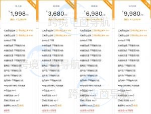 卖家精灵插件价格