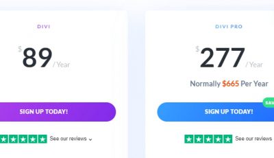 Divi 年付套餐价格