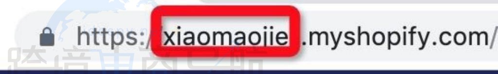 打开Shopify 二级域名