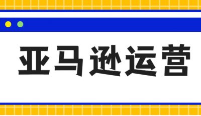 亚马逊精细化运营工具