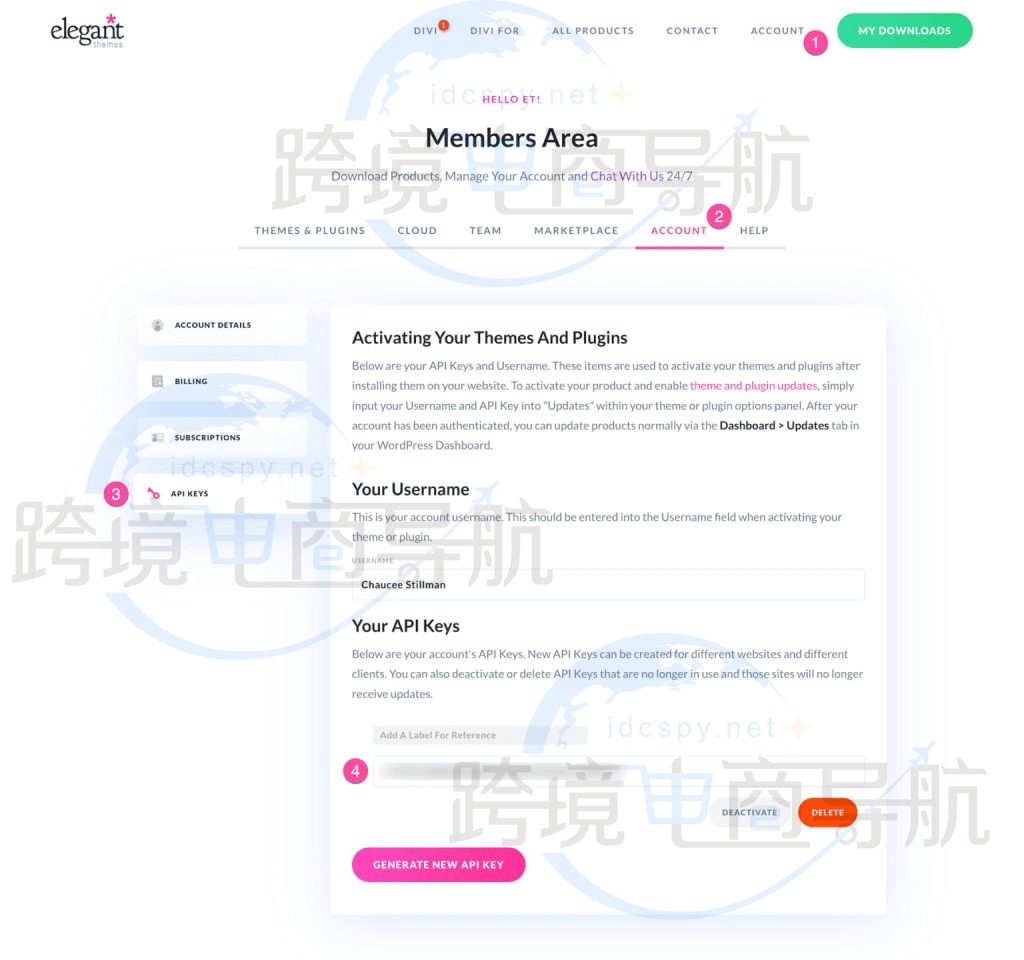 获取 Divi主题API密钥