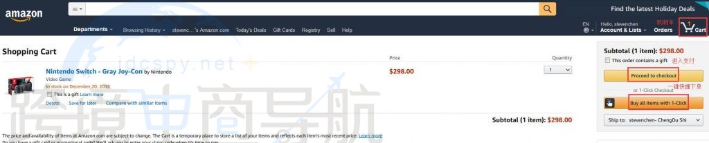 点击右上角Cart进入支付环节