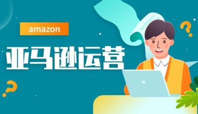 亚马逊运营数据