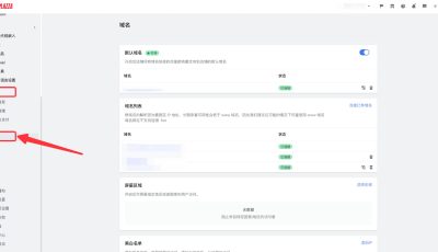 单击设置中的域名
