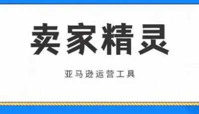 卖家精灵网页版国内可以用