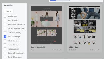 Bigcommerce主题预览