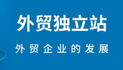 外贸独立站做什么比较赚钱