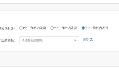 国内直发模式