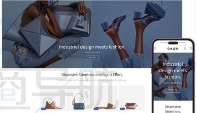 Dawn Shopify主题