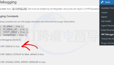 使用插件启用调试模式