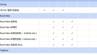 TikTok Ads广告格式