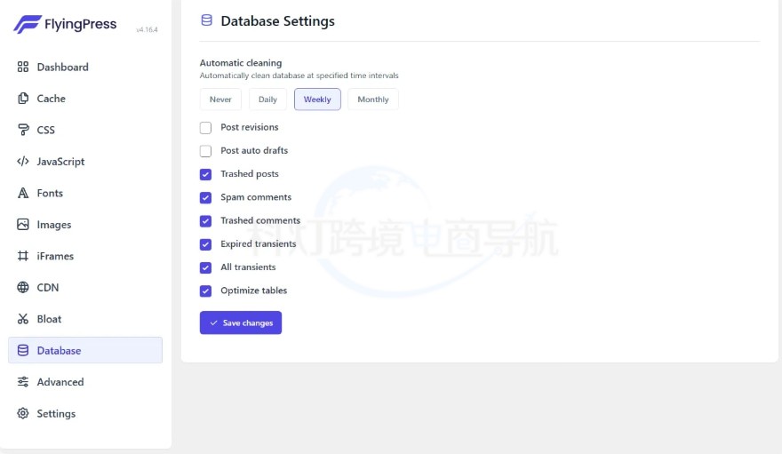 FlyingPress Database设置