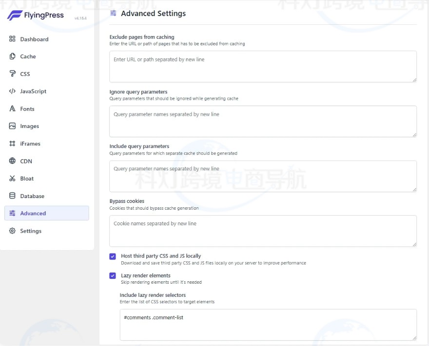 FlyingPress Advanced设置