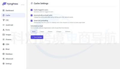 FlyingPress Cache设置