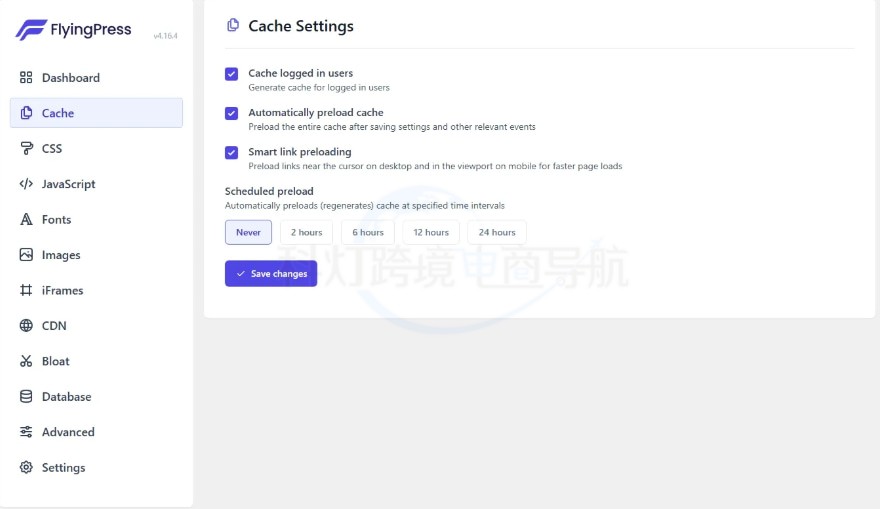 FlyingPress Cache设置
