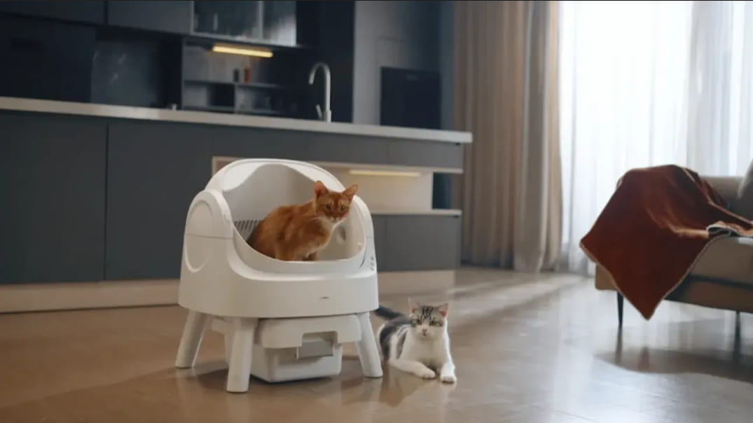 热议宠物品牌PetPivot