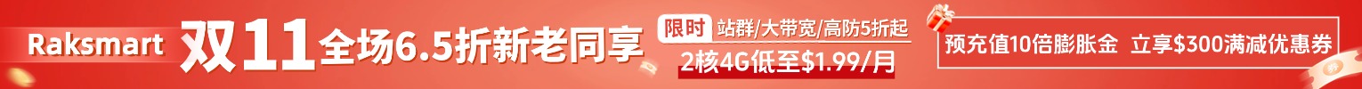 raksmart双11钜惠