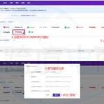 BigSeller授权页面