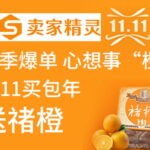 卖家精灵双十一大促