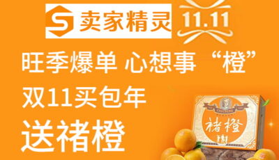 卖家精灵双十一大促
