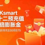 RAKsmart双12限时福利