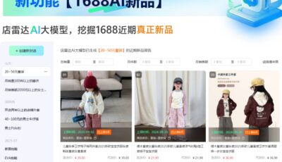 提示词输入查询