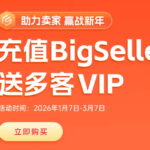 BigSeller图片