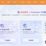 卖家精灵的战略选择