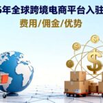 全球跨境电商平台