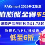 raksmart三月活动