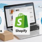 WordPress/Shopify/2Cshop独立站建站怎么选