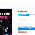 飞跨浏览器使用教程