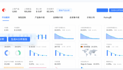 分析的产品方向