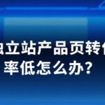 独立站