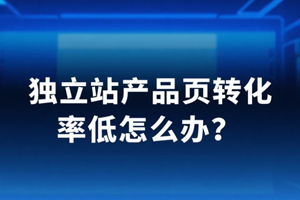 独立站
