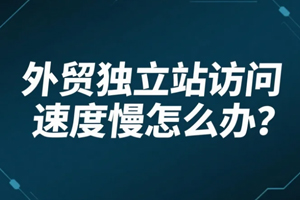 外贸独立站