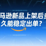 亚马逊