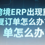 跨境ERP