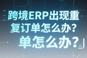 跨境ERP
