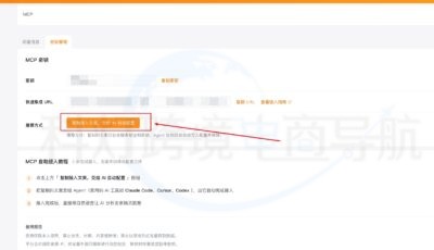 卖家精灵MCP