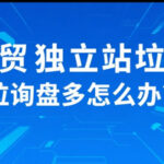 外贸独立站